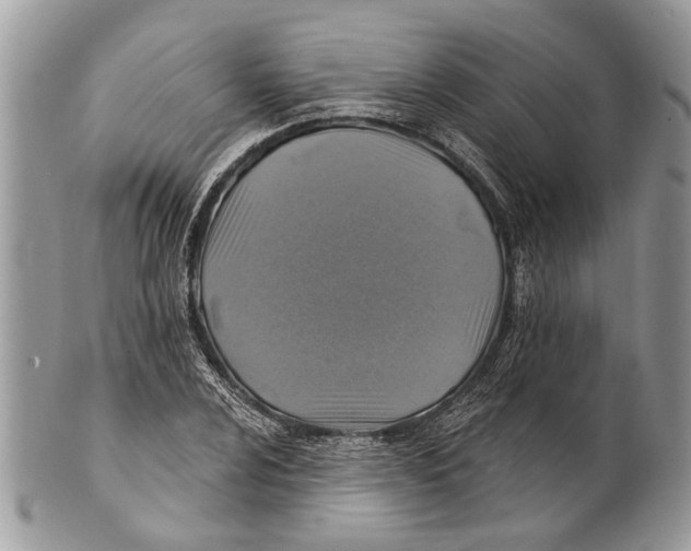 X0000101161024200807251106