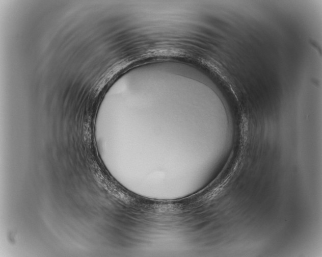 X0000101161025200807251106