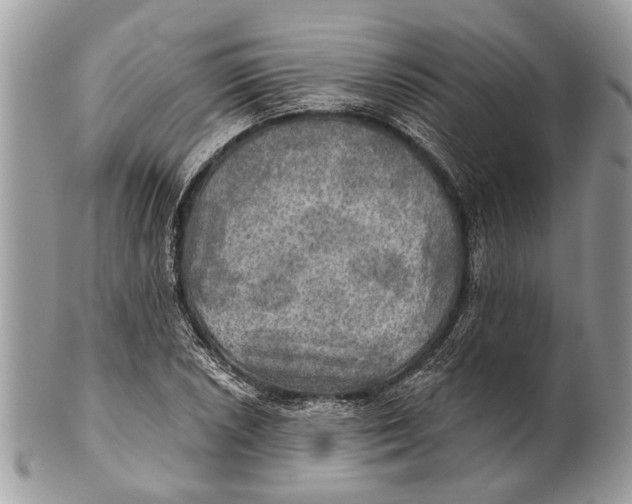 X0000101161026200807251106