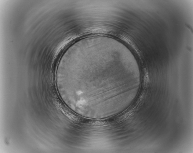 X0000101161027200807251106