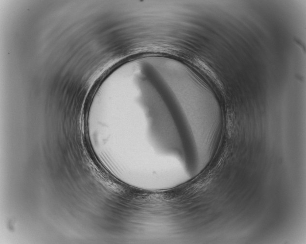 X0000101161028200807251106