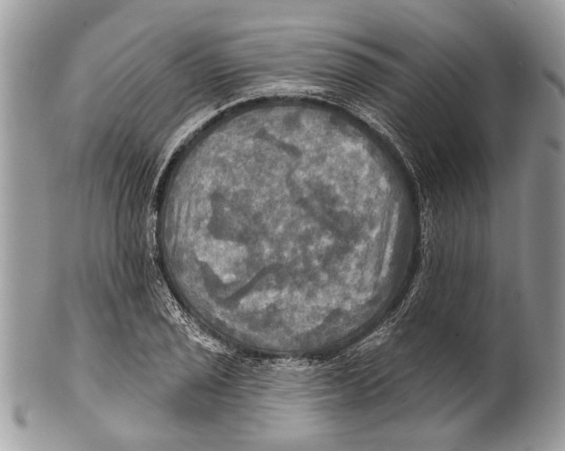 X0000101161029200807251106