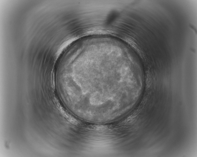 X0000101161030200807251106