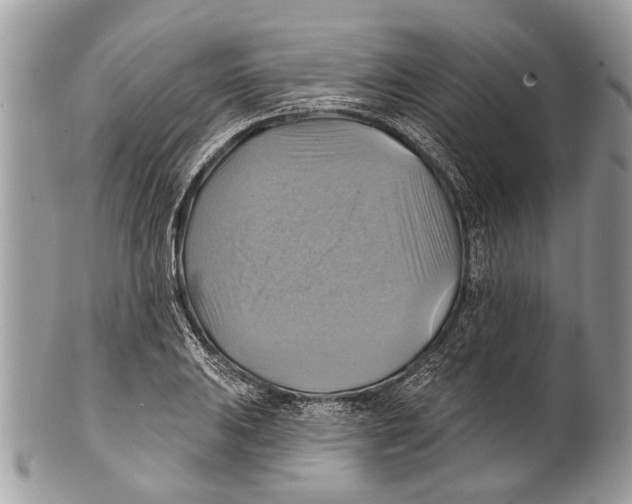 X0000101161031200807251106
