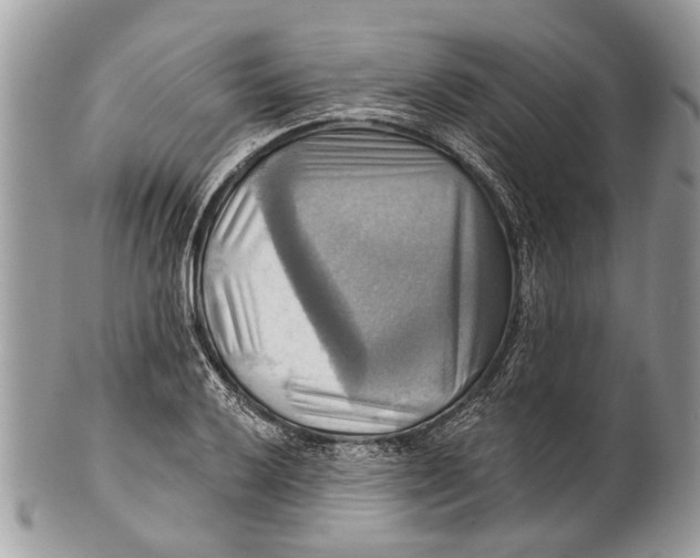 X0000101161032200807251106