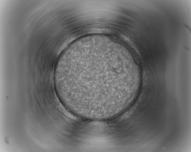 X0000101161033200807251106