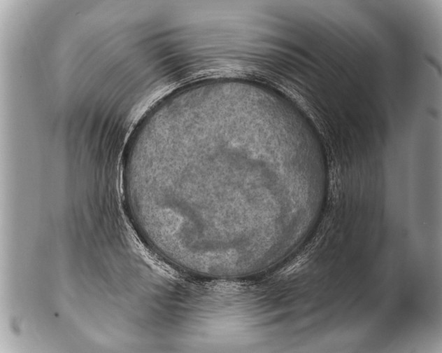 X0000101161034200807251106