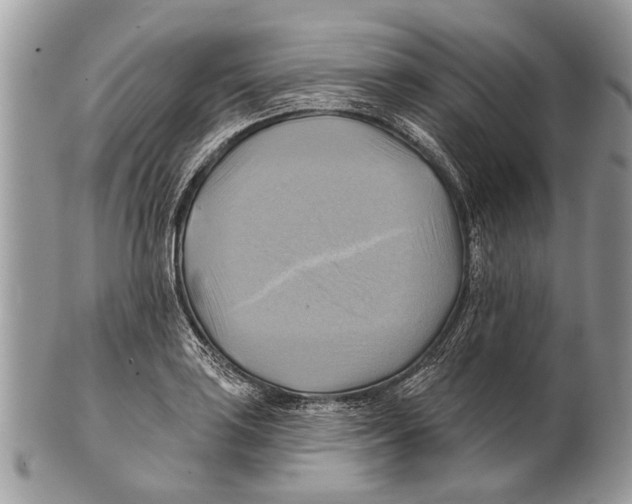 X0000101161035200807251106