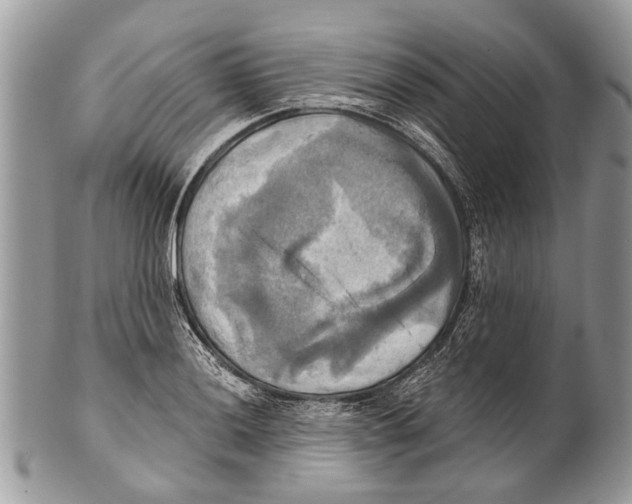 X0000101161036200807251106