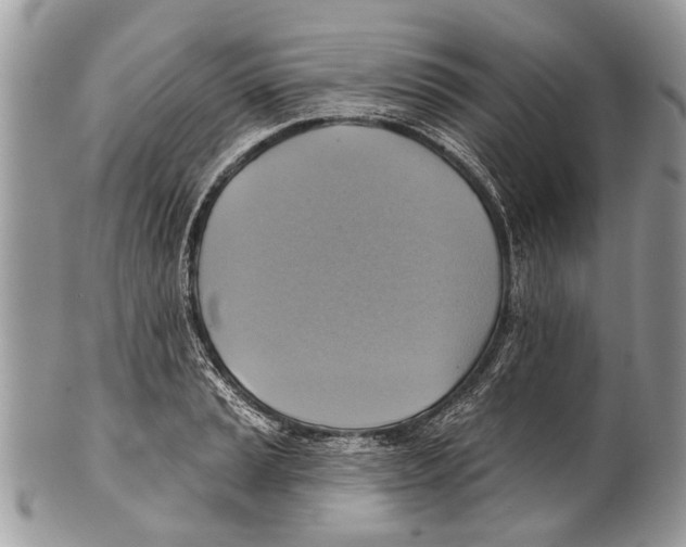X0000101161037200807251106