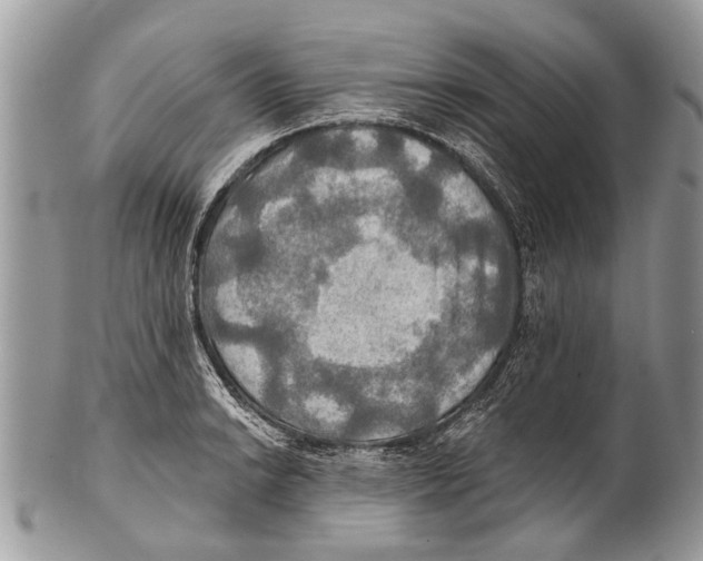 X0000101161038200807251106