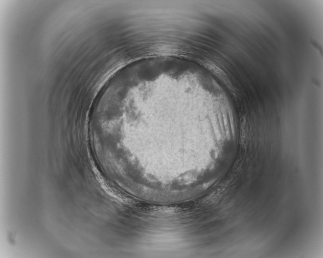 X0000101161039200807251106