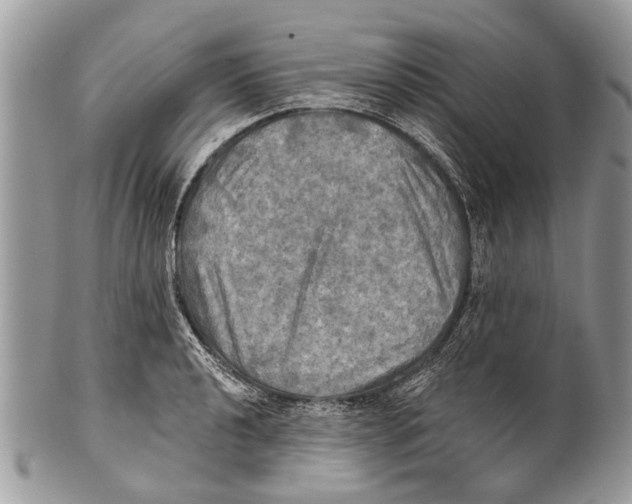 X0000101161040200807251106