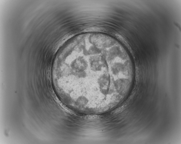 X0000101161041200807251106