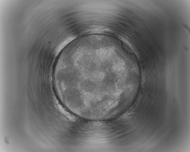 X0000101161042200807251106