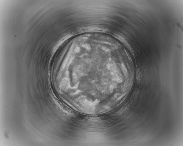 X0000101161043200807251106