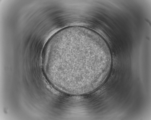 X0000101161044200807251106