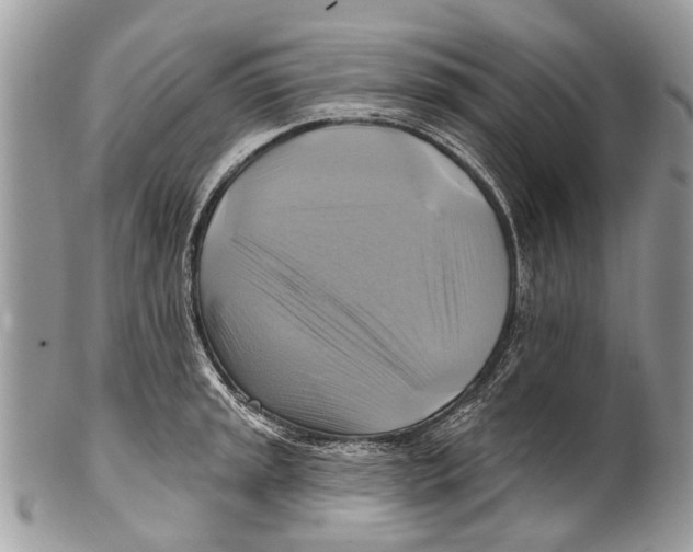 X0000101161045200807251106