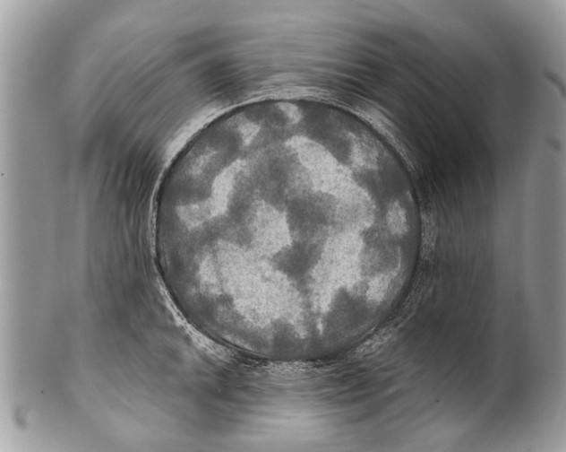 X0000101161046200807251106