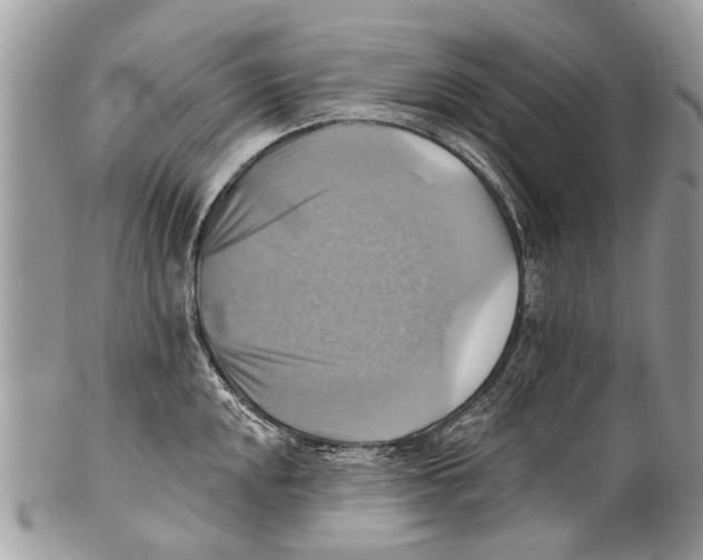 X0000101161048200807251106