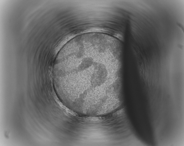 X0000101161049200807251106