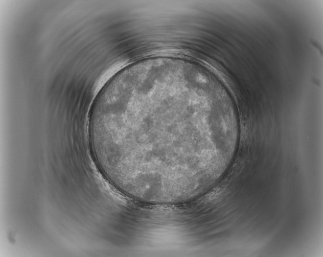 X0000101161050200807251106