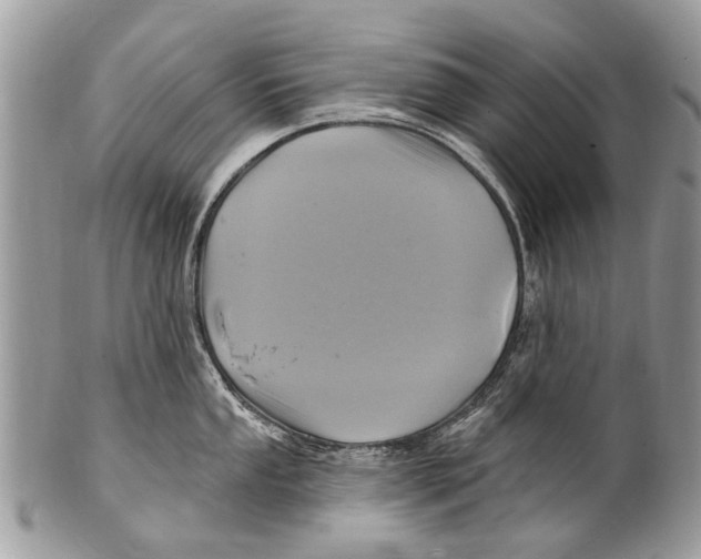 X0000101161053200807251106