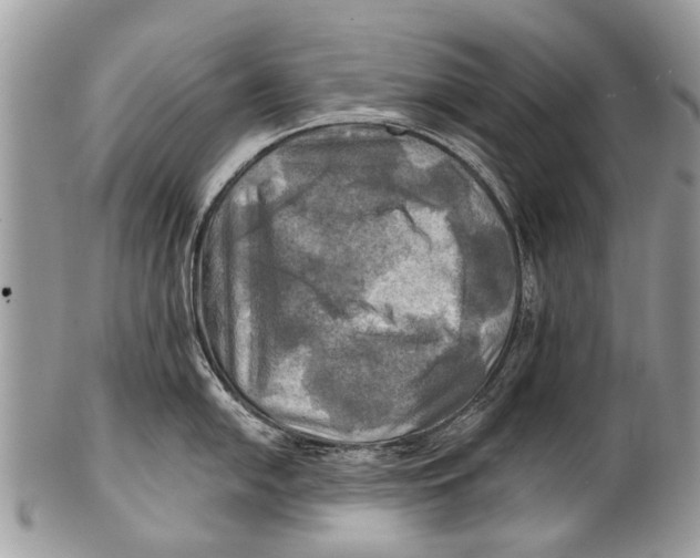 X0000101161054200807251106