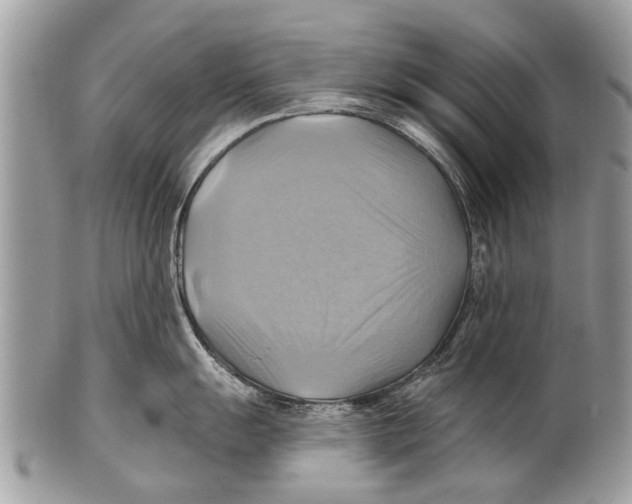 X0000101161055200807251106