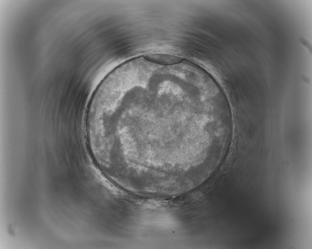 X0000101161056200807251106