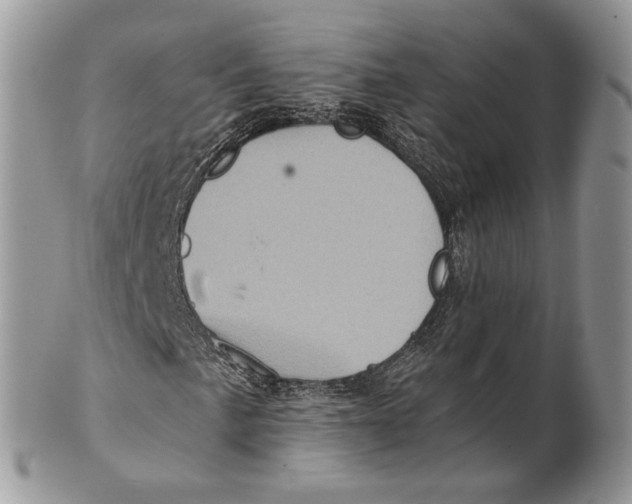 X0000101161057200807251106