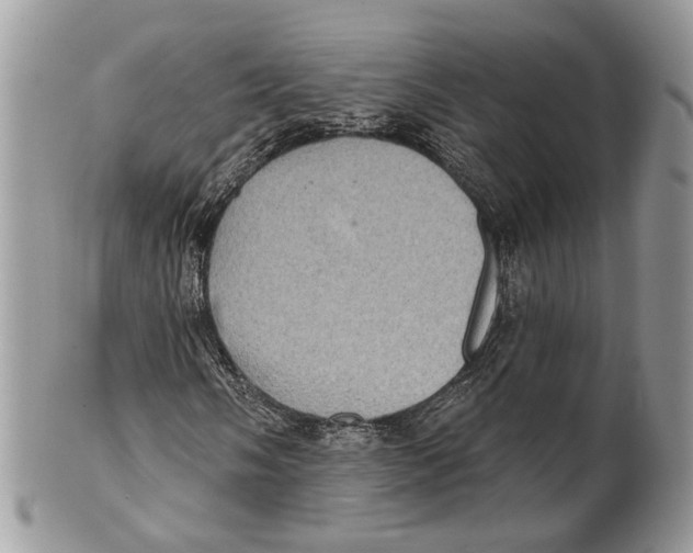 X0000101161058200807251106