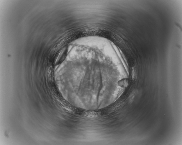 X0000101161059200807251106