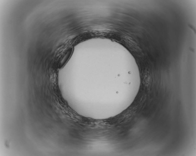 X0000101161061200807251106