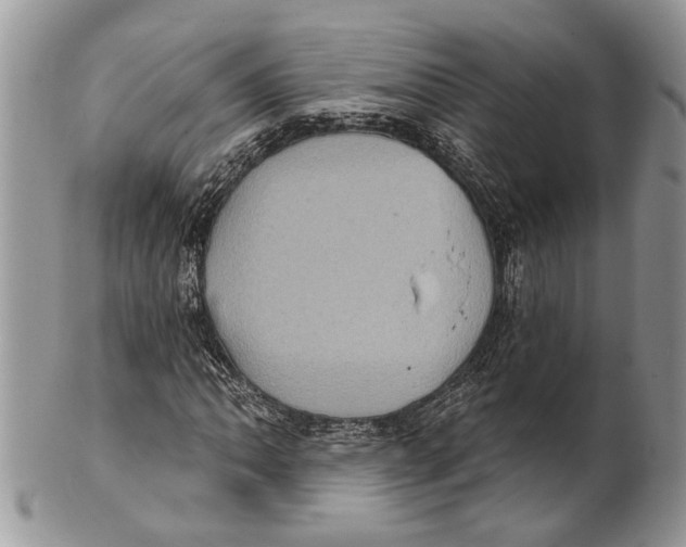 X0000101161062200807251106