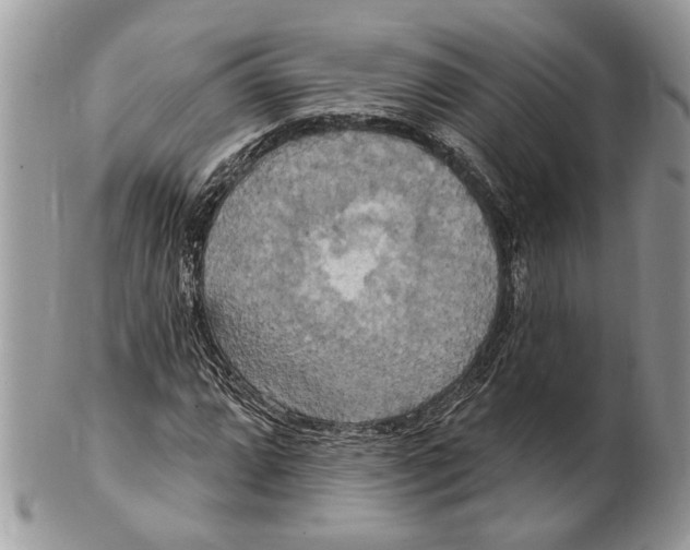 X0000101161064200807251106