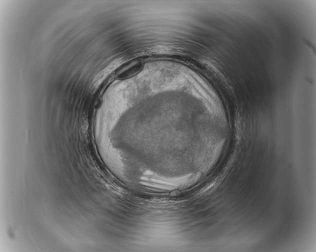 X0000101161065200807251106