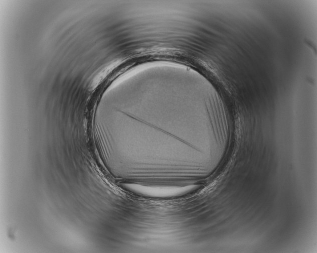 X0000101161066200807251106