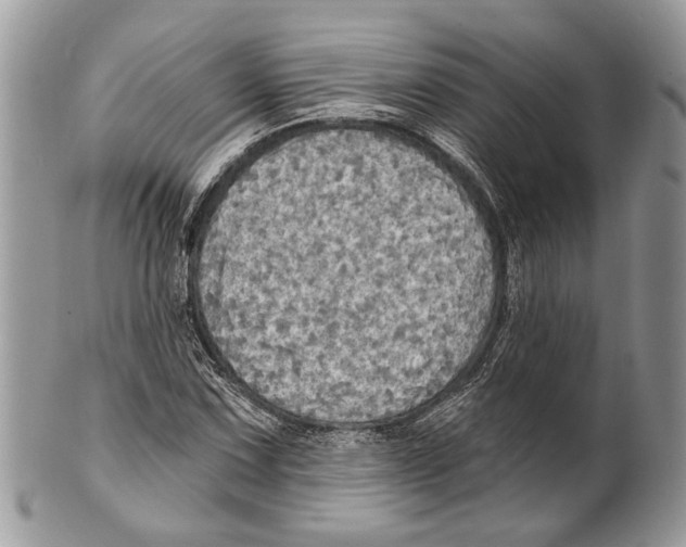 X0000101161067200807251106
