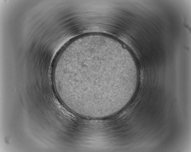X0000101161068200807251106