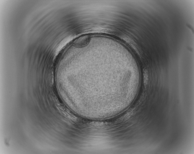 X0000101161069200807251105