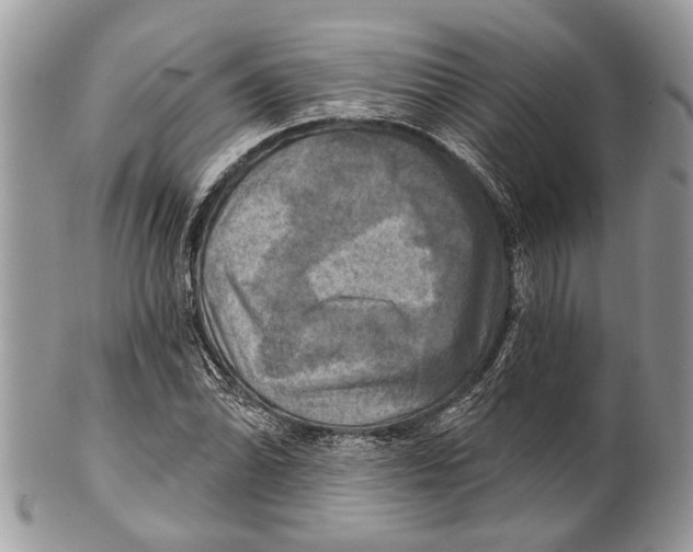 X0000101161070200807251105
