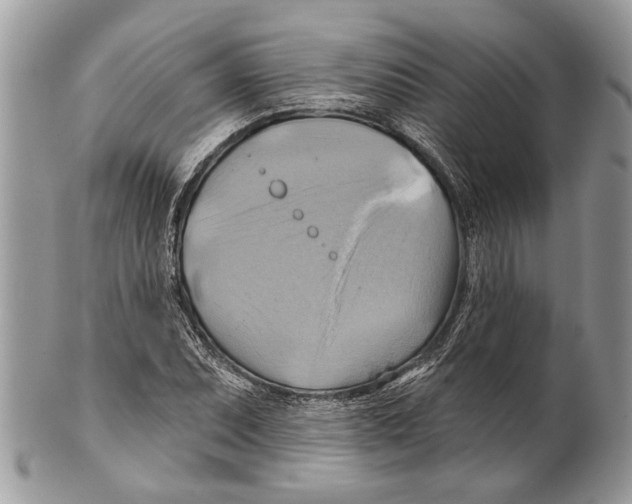 X0000101161071200807251105