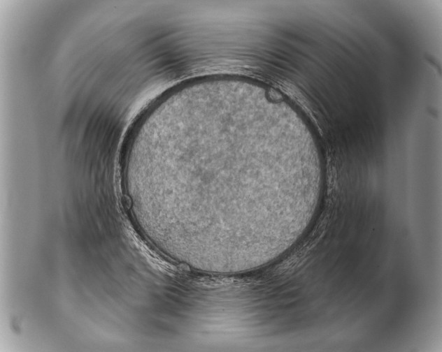 X0000101161072200807251105