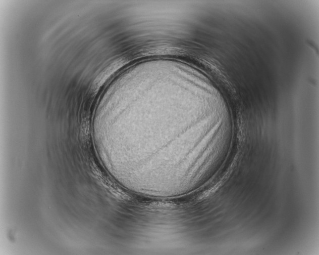 X0000101161073200807251105