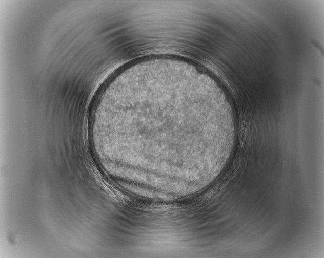 X0000101161076200807251105