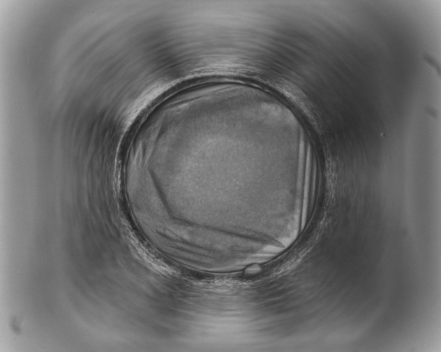 X0000101161077200807251105