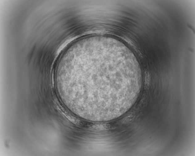 X0000101161078200807251105