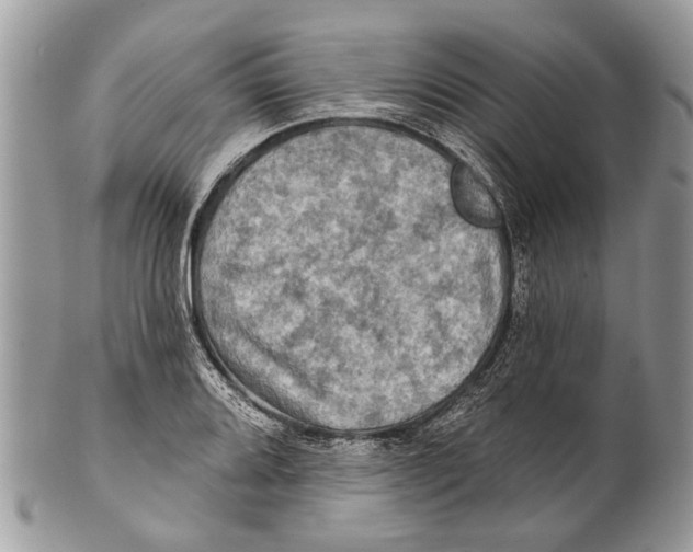X0000101161080200807251105