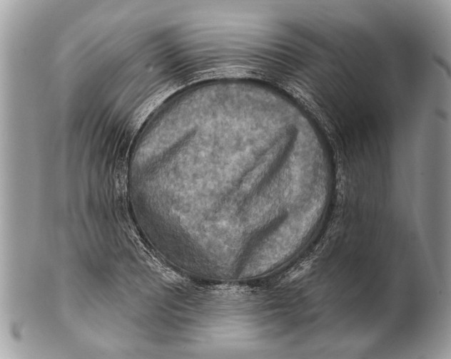 X0000101161081200807251105